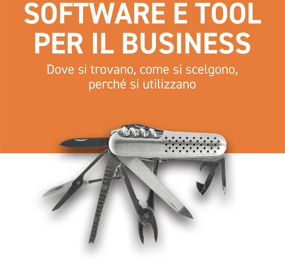 Copertina libro Software e tool per il business di Bernardo Mannelli.
